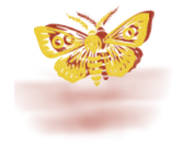 Eric Lavién Logo